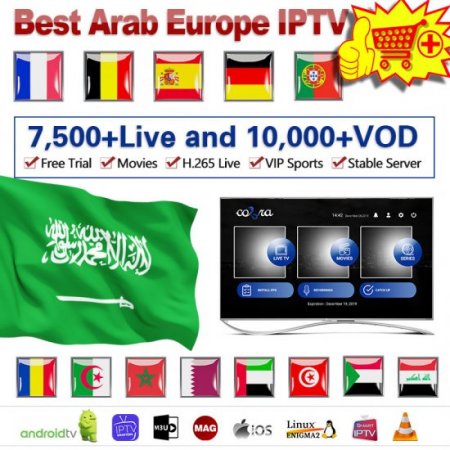 12 Months Cobra Stable Server M3U Arabic Europe IPTV Smarters Smart IPTV Code